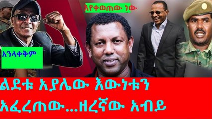 Ethiopia News  ልደቱ -አብይ ለውጡን መምራት አይችልም