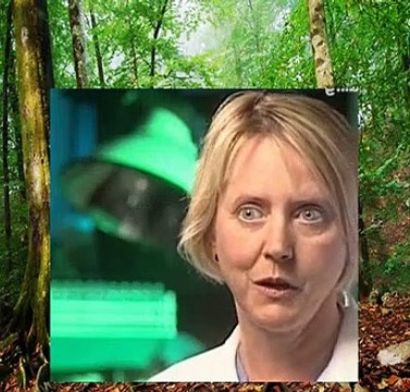 Forensic Files - 10x23 - Prints Among Theives