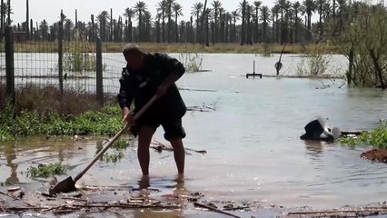 شاهد.. كيف دمرت الأمطار والسيول مزارع العراق