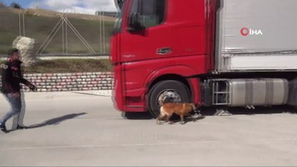 Tekirdağ'da bavul bavul uyuşturucu ele geçirildi: Tam 131 kilo