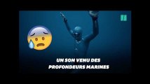 Quel est ce son effrayant capté par l'apnéiste Guillaume Néry au fond de la mer ?