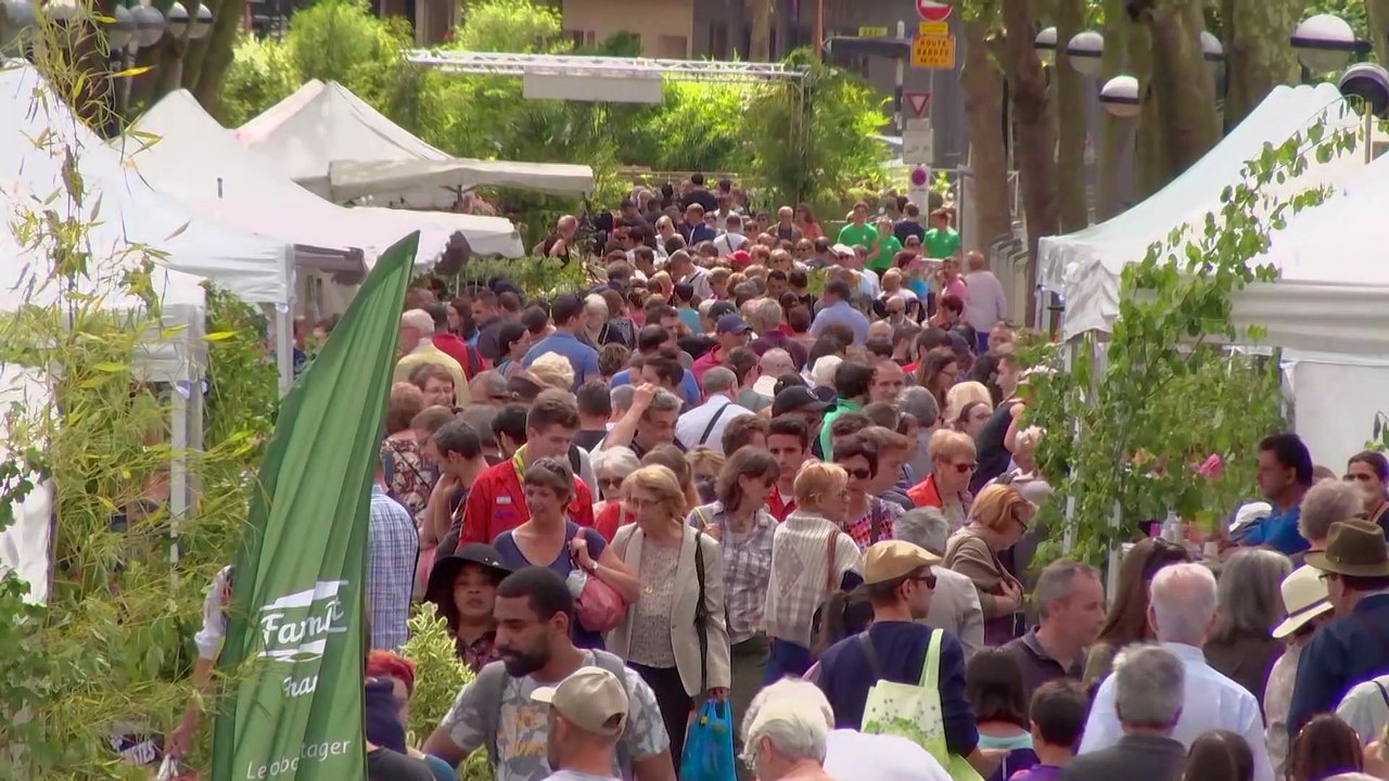 Inspirations végétales à Montrouge