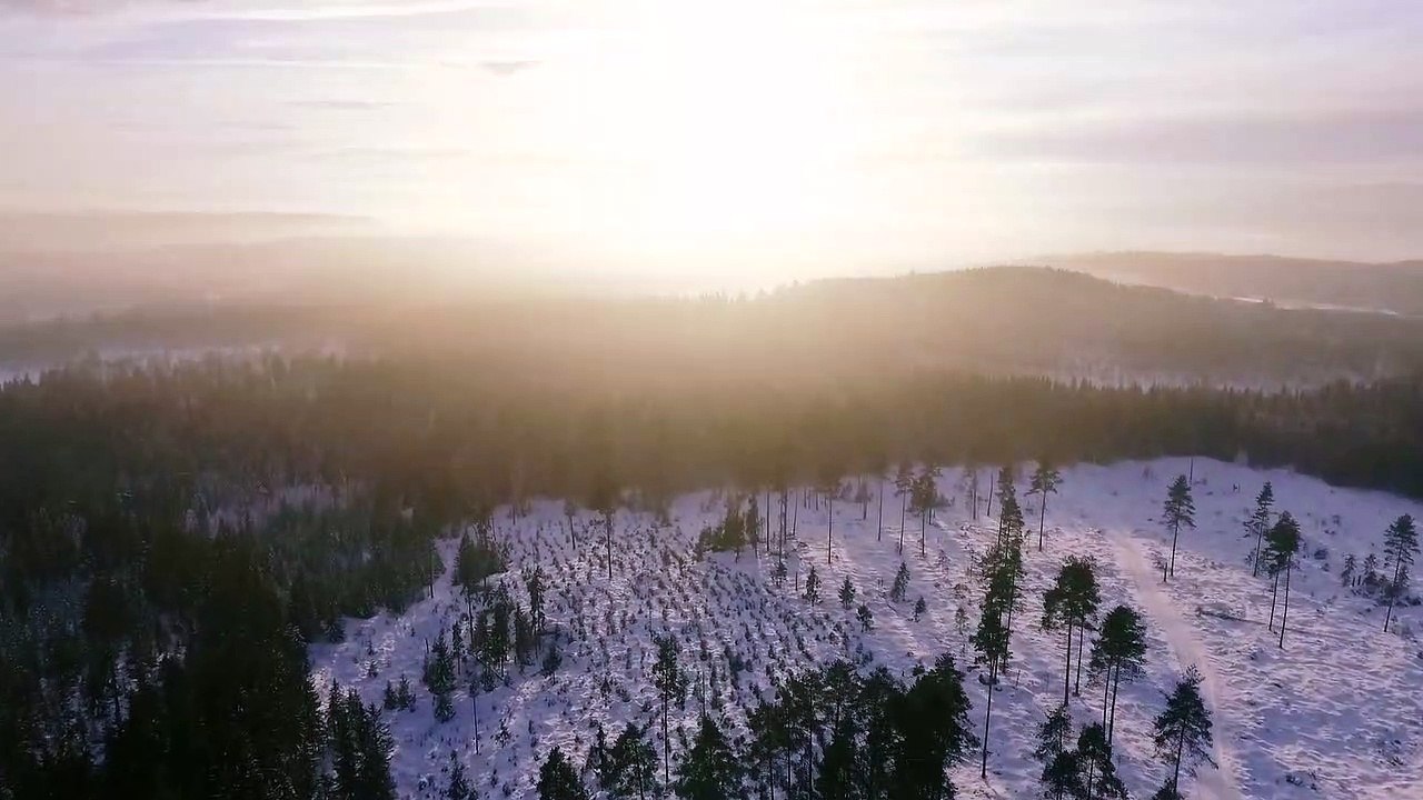 test video april 04