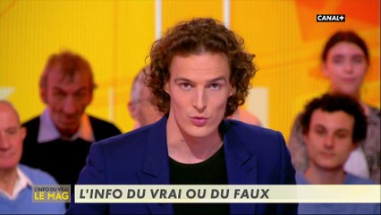 Biscottes cannabis et force 6 ! - L'Info du Vrai du 03/04 - CANAL+