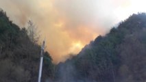 강원도 인제 남면에서 산불...일부 주민 대피 / YTN