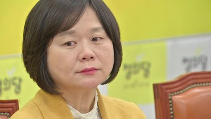 정의당 "故 노회찬 탈상할 수 있게 돼"...평화당과 교섭단체 신경전 / YTN