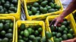 Trump Tehdit Etti, Avokado'nun Fiyatı Bir Günde Yüzde 34 Arttı