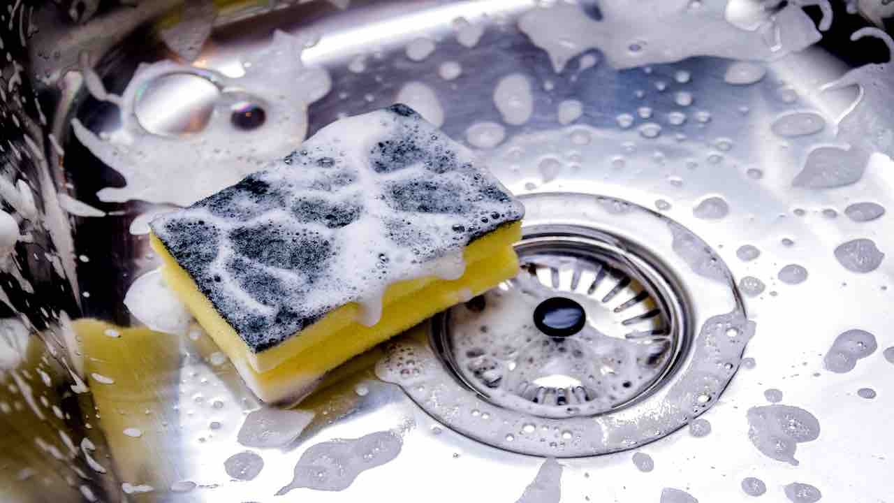 Schimmel: Diese Küchengeräte sind besonders gefährdet