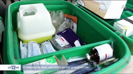 La pénurie des vétérinaires de campagne