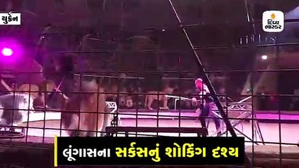 સર્કસમાં સિંહે કર્યો ટ્રેનર પર હુમલો, દર્શકોમાં સોપો પડી ગયો, આમ લડીને કર્યો દૂર