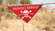 Euronews in Angola per la Giornata Internazionale contro le mine anti-uomo