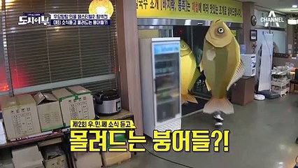 [제2회 우당탕탕 민물 페스티벌] 젝스키스 리더-막내 라인 은지원&장수원 등장!