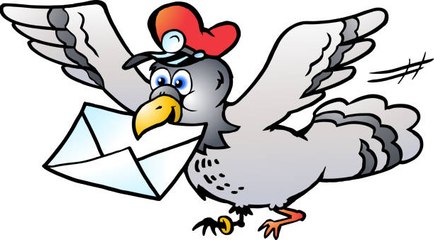 La vente aux enchères d'un pigeon voyageur pour 1,25 million d’euros