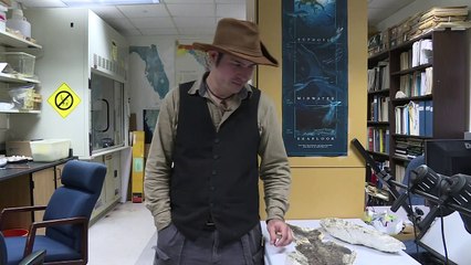 Fósseis narram momento em que asteroide mudou a Terra