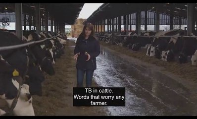 Farmers Weekly_ Farmers living on the frontline of bovine TB 14Dec18