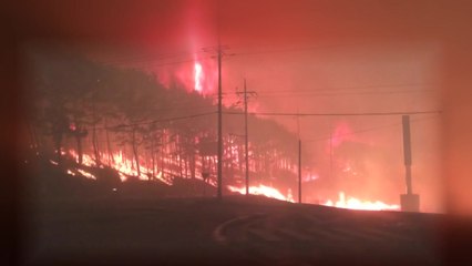 고성 산불 현장은 지금...민가·식당도 불타 / YTN