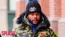The Weeknd Sued Over Song