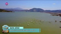 Gökyüzünden, Bafra Gölü'nü geziyor