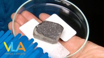 ¡Tábata Jalil nos llevó a conocer un meteorito de millones de años! | Venga la Alegría
