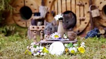 George the Mouse in a Log pile House - Spring time garden