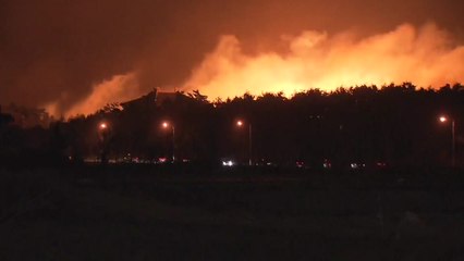 강릉에도 산불 추가 발생...강풍 때문에 진화에 어려움 / YTN