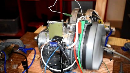 6203-baladeur-Zibuth