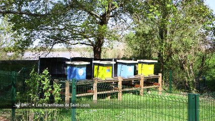 Bordeaux Métropole - Les Parenthèses de Saint-Louis