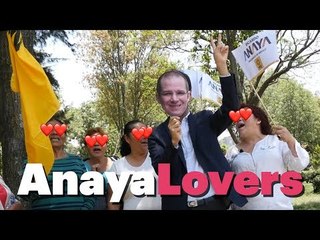 ¿Qué piensan los seguidores de Ricardo Anaya?
