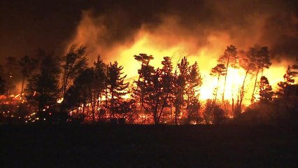 고성 산불로 1명 사망...화재 진압에 사투 / YTN