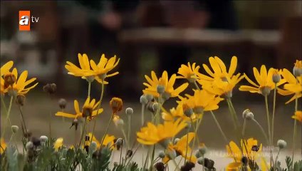 Bir Zamanlar Çukurova 27 Bölüm Tek Parça ( Part 4 )