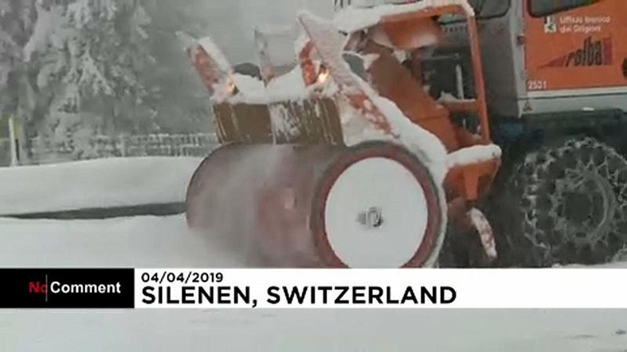 Schnee im Frühling
