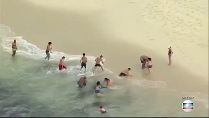 Des touristes se jettent dans ce banc de poisson près de la plage... pêche miraculeuse