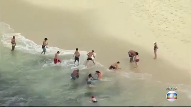 Des touristes se jettent dans ce banc de poisson près de la plage... pêche miraculeuse