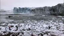 Chute d'un Iceberg : ces touristes fuient la vague au bord du glacier !