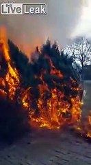 Barbecue : il manque de brûler sa maison !