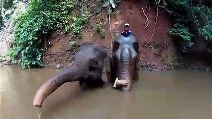 임실출장안마 #R# 후불100%ョ｛Ø7Ø↔7575↔0062카톡LJ69｝임실전지역출장마사지임실출장안마임실출장마사지'출장아가씨후기ョパ출장안마'만족도1위출장안마'만족도1위