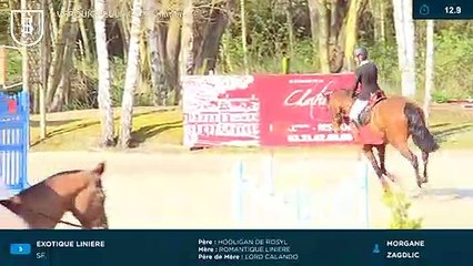 20190401 verquigneul exotique liniere