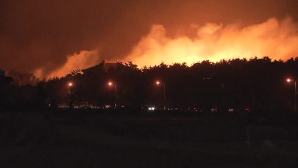 '아수라장' 고성과 속초, 숙지해야 할 대피요령 / YTN