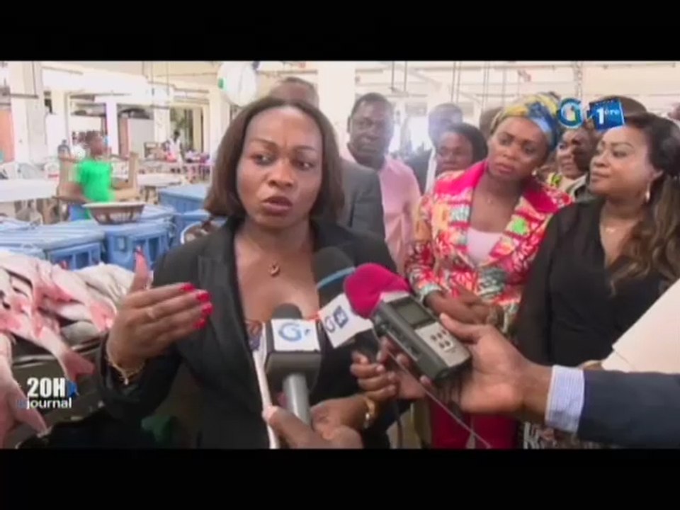RTG/Le ministre de la pêche et de la mer visite le centre d’appui à la pêche artisanale de Libreville