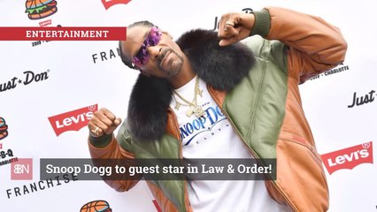 The Dogg Will Be Appearing On Law And Order