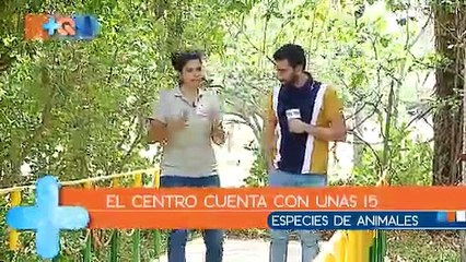 mqn-Cañas es hogar de especies en riesgo-050419