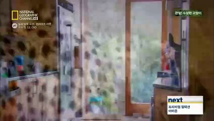 김제출장안마 #P# 후불100%ョ｛Ø7Ø↔7575↔0069 카톡CK654｝김제전지역출장마사지김제출장안마김제출장마사지'여대생ョ♪출장아가씨후불출장오피걸