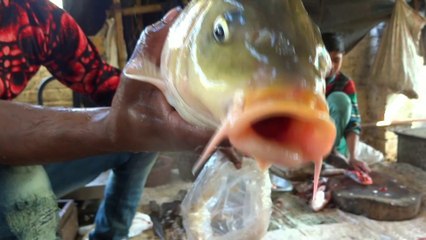 Fish Market Patiala  || Fish Market India