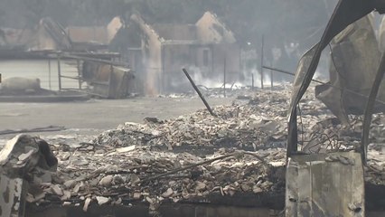 고성산불 1명 사망·250ha 잿더미...강릉산불도 250ha 태워 / YTN