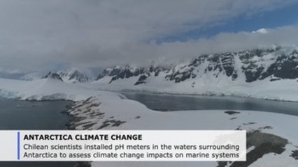 Chilean experts assess climate change impacts on Antarctic marine systems