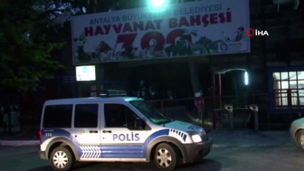 Kaçan kurt üç ayrı noktada vatandaşlar tarafından görüntülendi