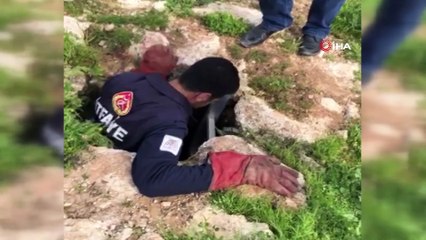 Kuyuda mahsur kalan yavru köpeği itfaiye ekipleri kurtardı