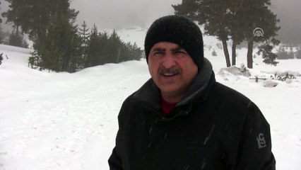 Kış uykusundan uyanan bozayı, yavrusunu ilçe turuna çıkardı - KARS