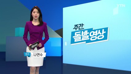[주간 돌발영상] 4월 첫째 주 / YTN