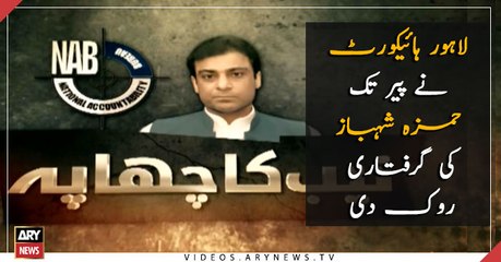 Do not arrest Hamza Shehbaz till Monday, Lahore high court ordered NAB